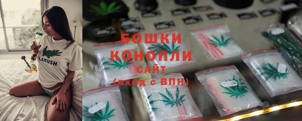 PSILOCYBIN Алексеевка