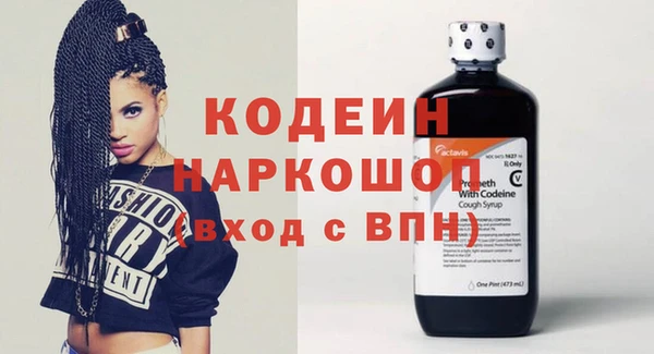 прущие грибы Абаза