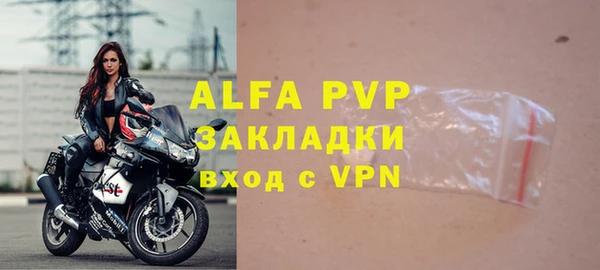 прущие грибы Абаза