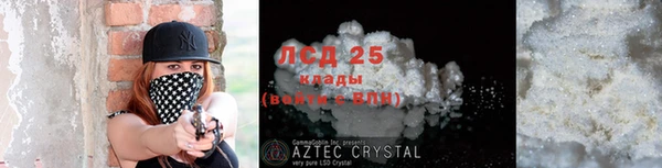прущие грибы Абаза