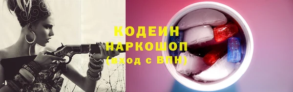прущие грибы Абаза