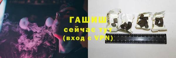 прущие грибы Абаза