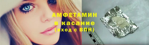 прущие грибы Абаза