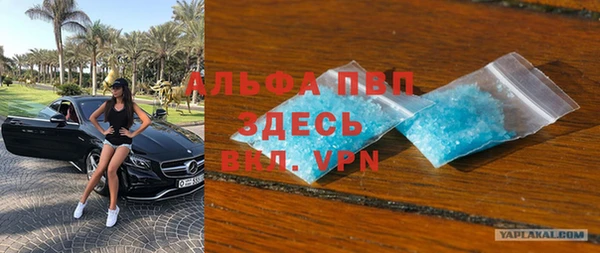 прущие грибы Абаза