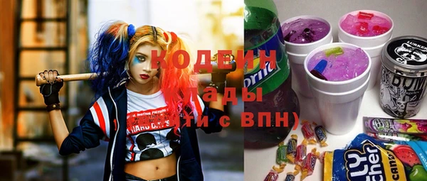 прущие грибы Абаза