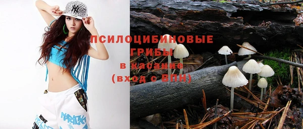 прущие грибы Абаза