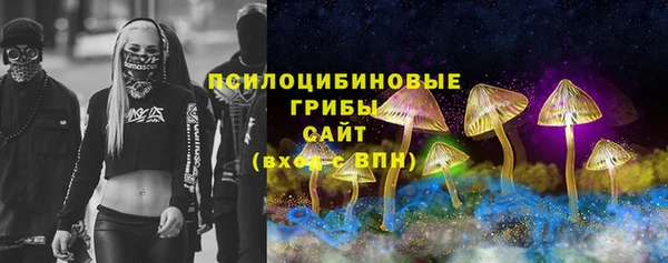 PSILOCYBIN Алексеевка