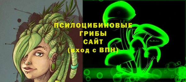 прущие грибы Абаза